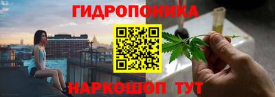мдпв Канаш
